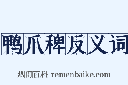 鸭爪稗反义词是什么意思的图片